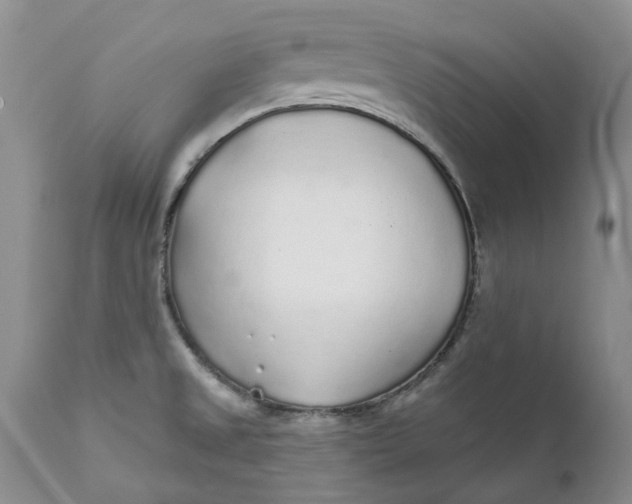 X0000112161525200908281351