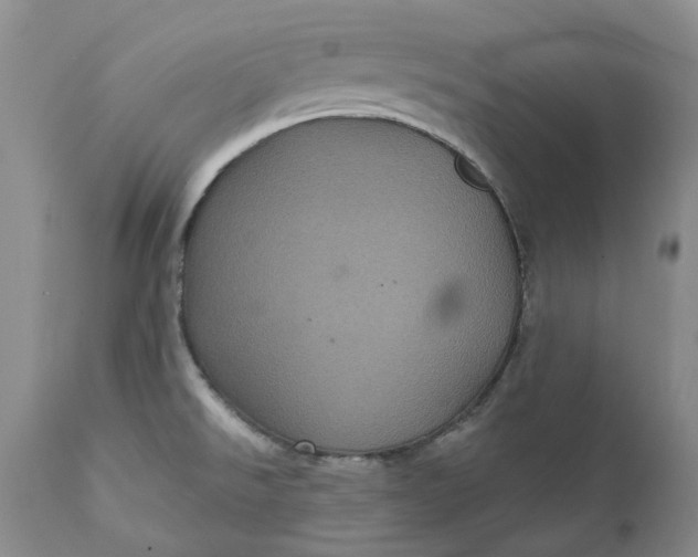 X0000112161526200908281351