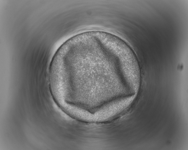 X0000112161527200908281351