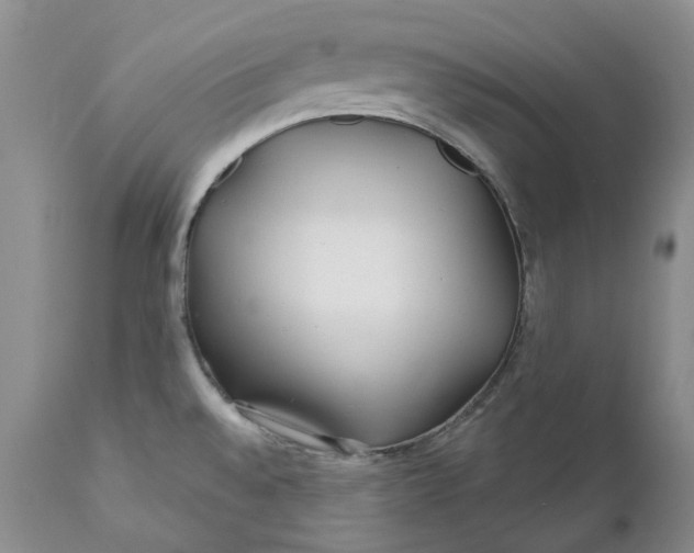 X0000112161528200908281351