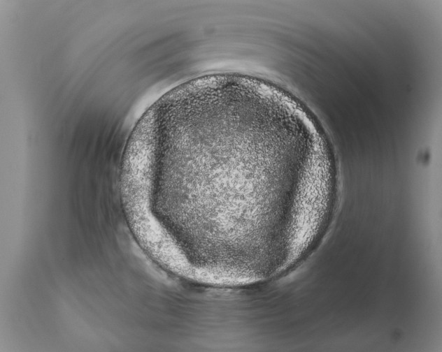 X0000112161529200908281351