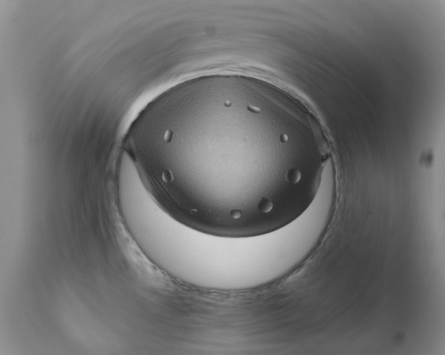 X0000112161530200908281351