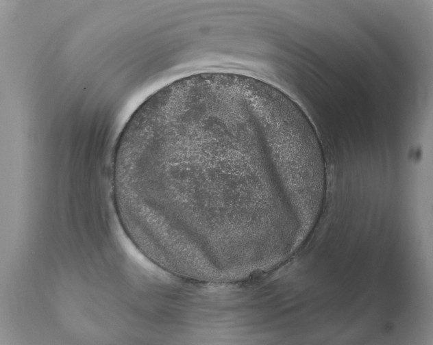 X0000112161531200908281351