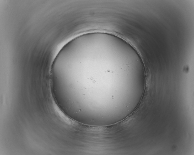 X0000112161532200908281351