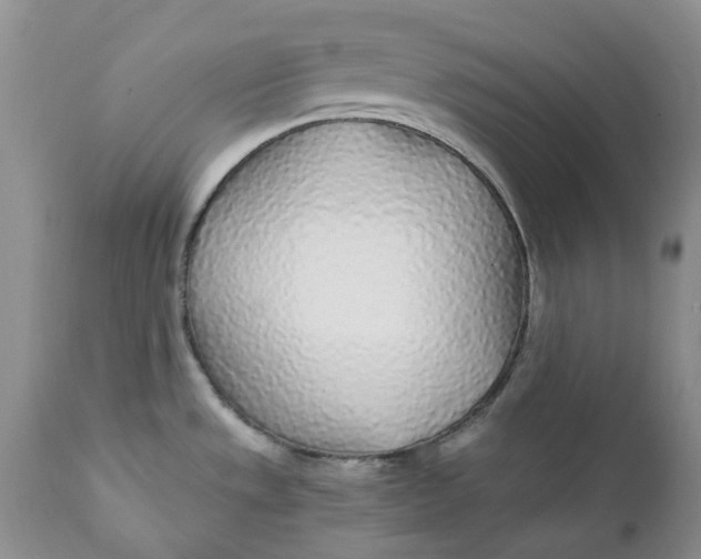 X0000112161533200908281351