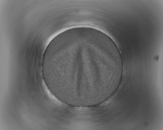 X0000112161534200908281351