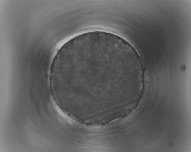 X0000112161535200908281351