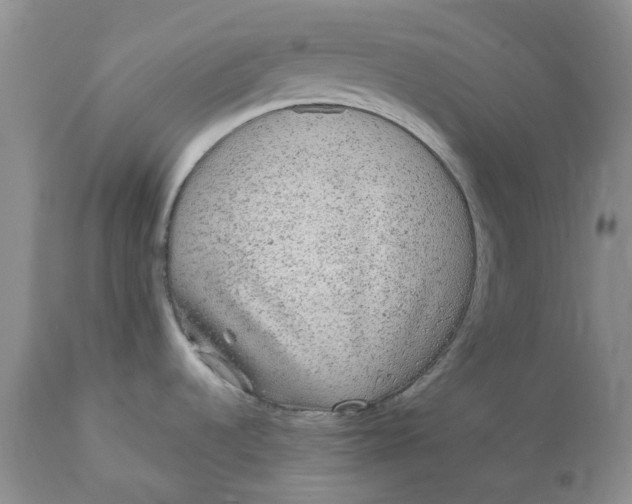 X0000112161536200908281351