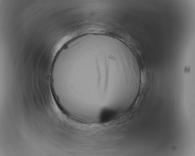 X0000112160003200909041137
