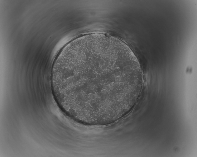 X0000112160004200909041137