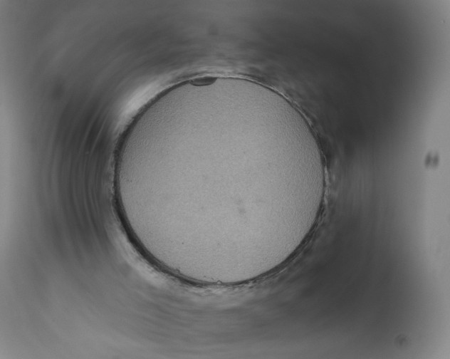 X0000112160005200909041137