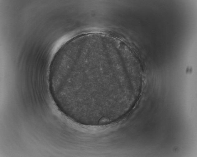 X0000112160006200909041137