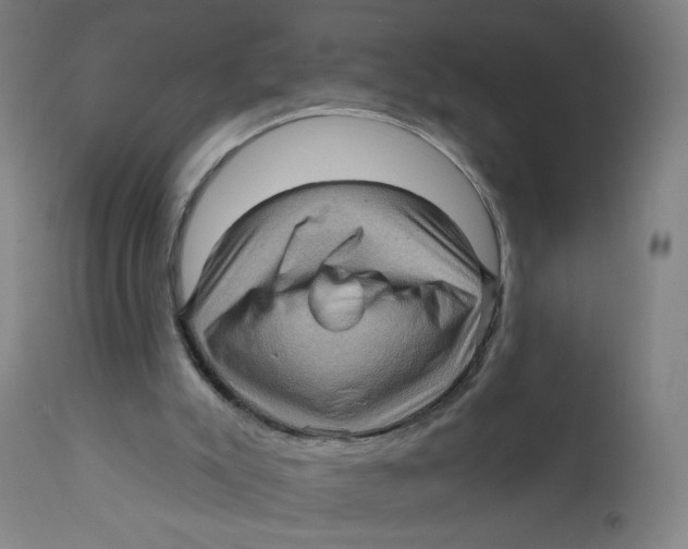 X0000112160007200909041137