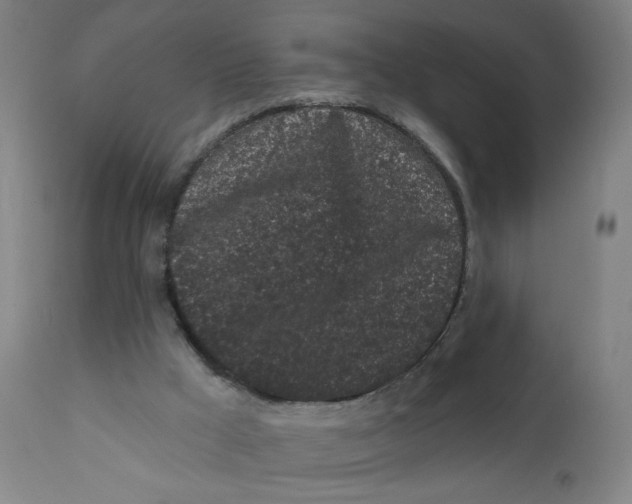 X0000112160009200909041137