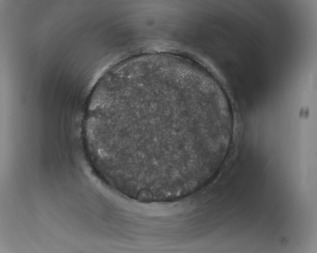 X0000112160010200909041137