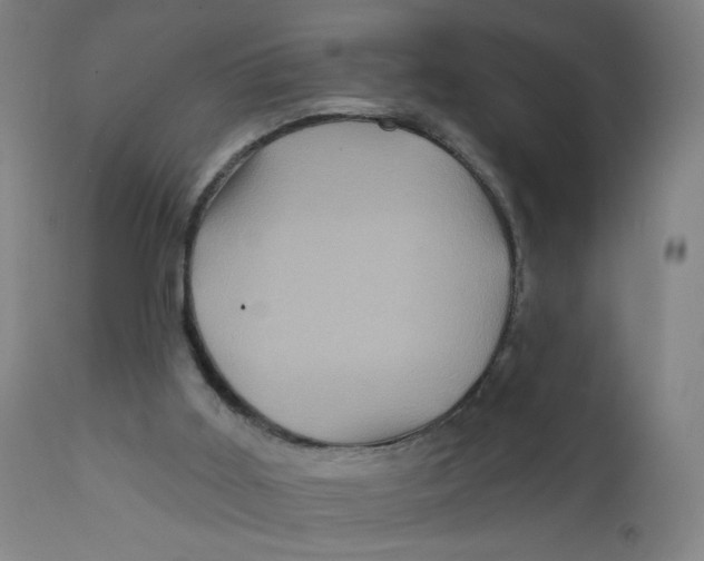 X0000112160011200909041137