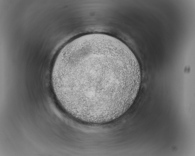 X0000112160012200909041137