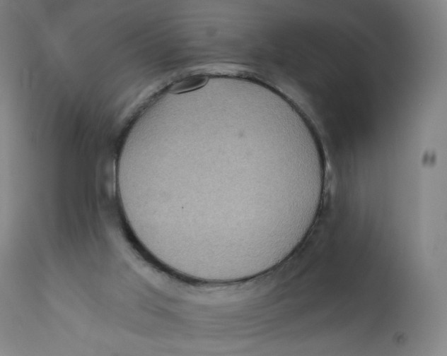 X0000112160013200909041137
