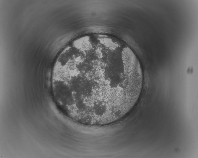 X0000112160014200909041137