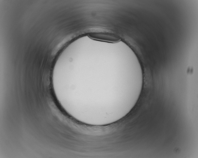 X0000112160015200909041137