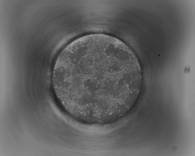 X0000112160016200909041137