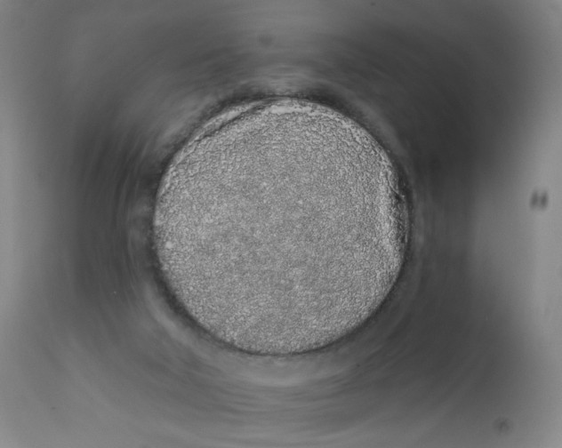 X0000112160018200909041137