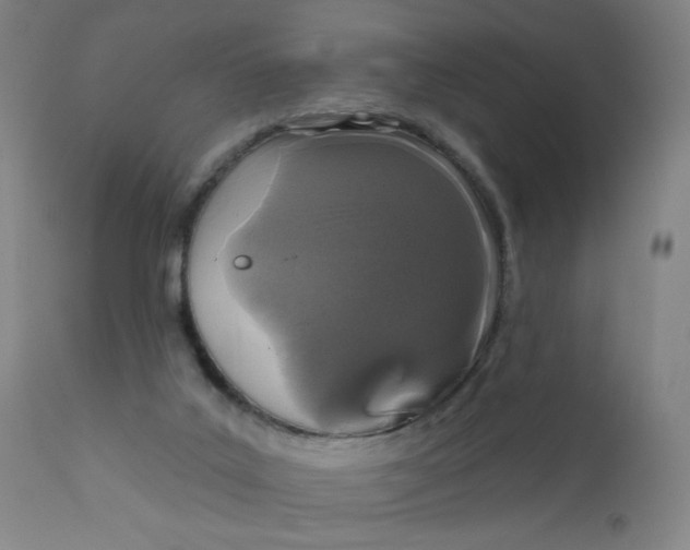 X0000112160019200909041137