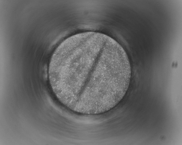 X0000112160020200909041137