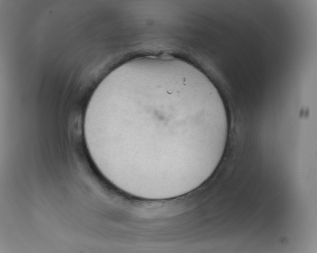 X0000112160021200909041137