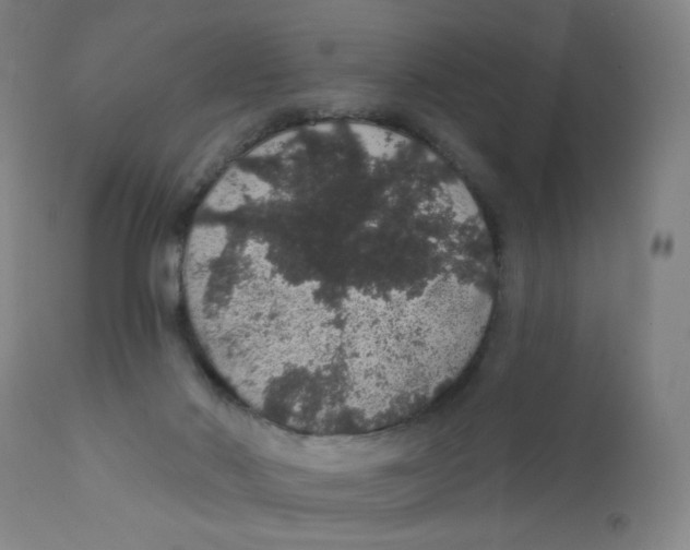 X0000112160022200909041137