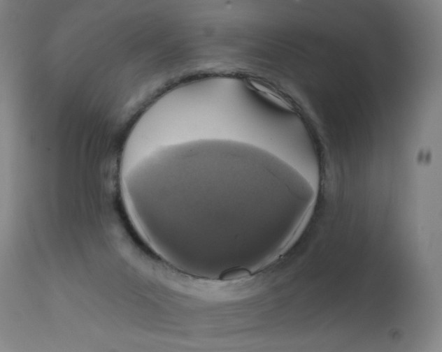 X0000112160023200909041137