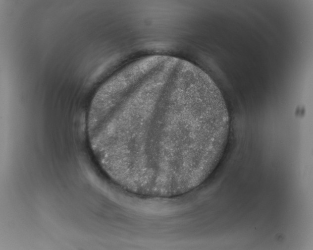 X0000112160024200909041137
