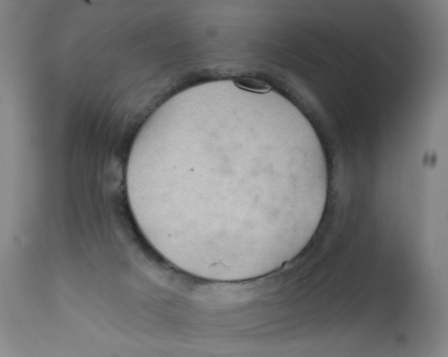 X0000112160025200909041137