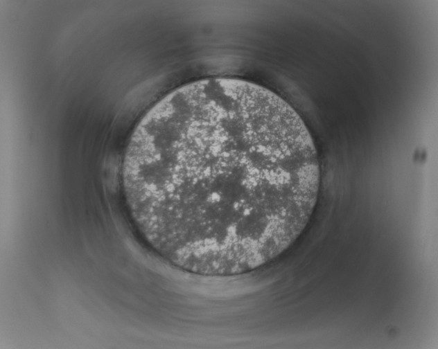 X0000112160026200909041137