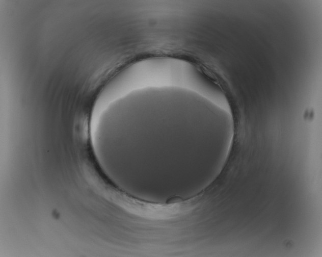 X0000112160027200909041137