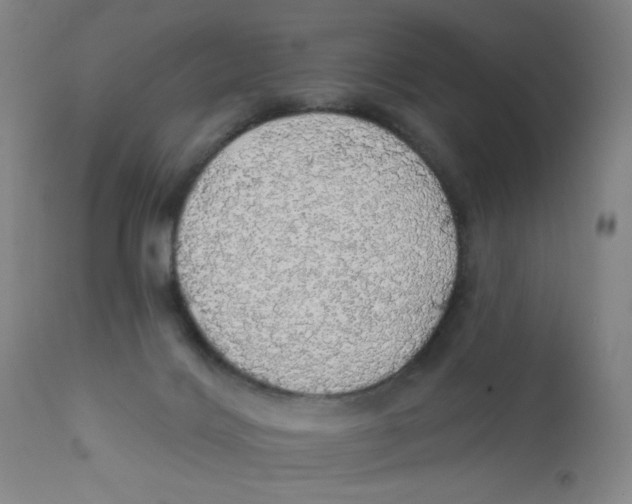 X0000112160028200909041137