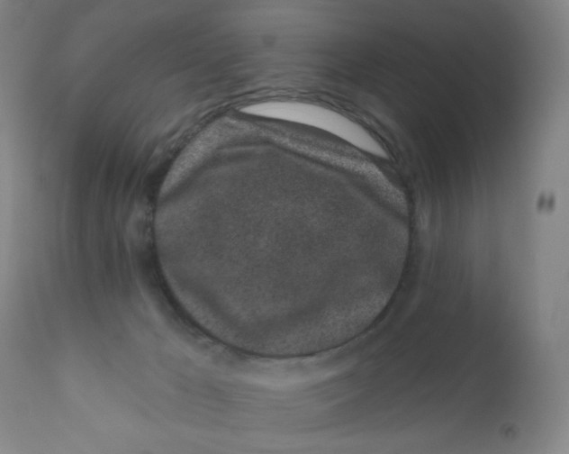 X0000112160029200909041137