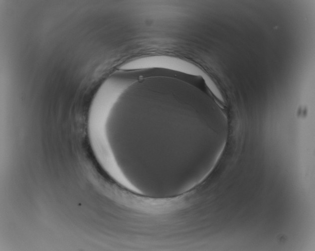 X0000112160031200909041137