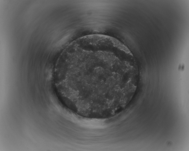 X0000112160032200909041137