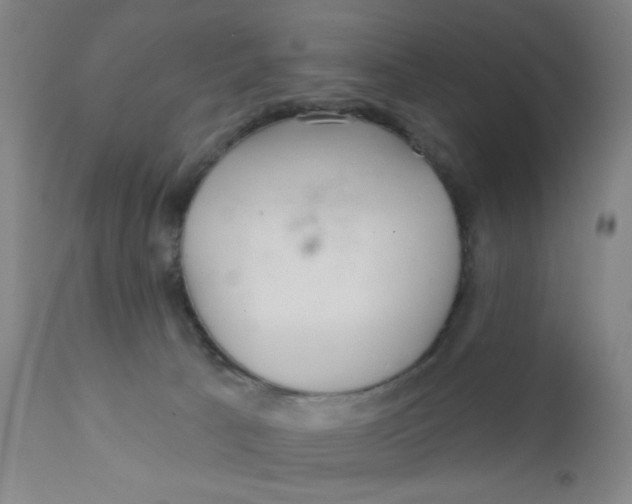 X0000112160033200909041137
