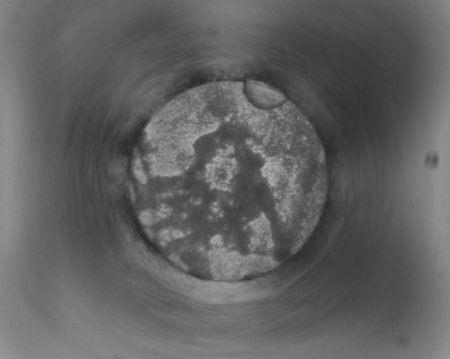 X0000112160034200909041137