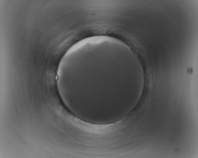 X0000112160035200909041137