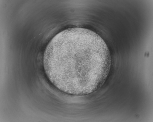 X0000112160036200909041137