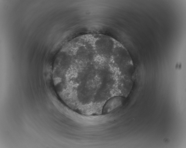 X0000112160038200909041137