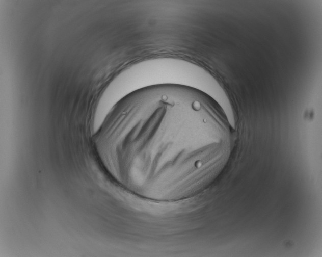 X0000112160039200909041137