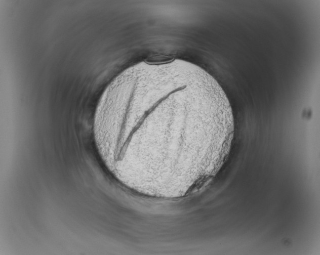 X0000112160040200909041137