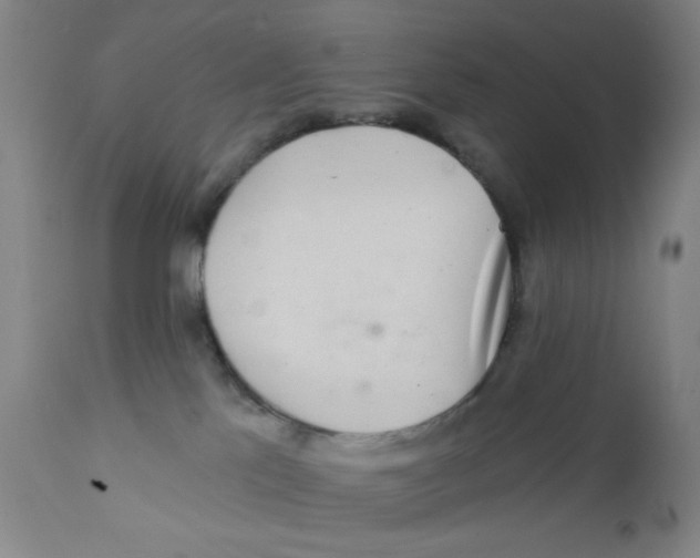 X0000112160041200909041137