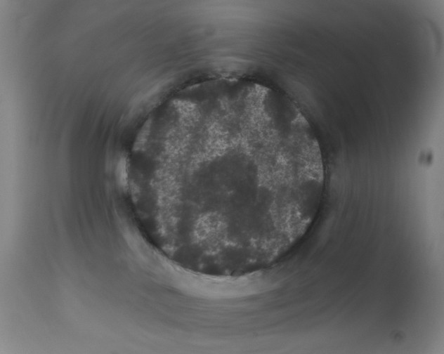 X0000112160042200909041137