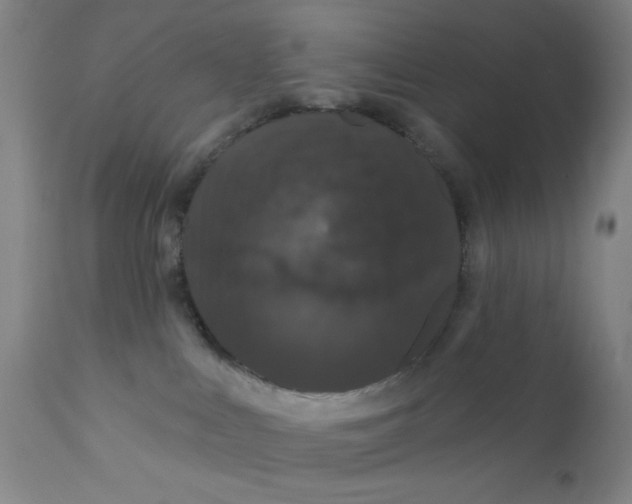 X0000112160043200909041137