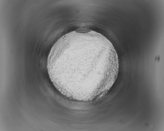 X0000112160044200909041137
